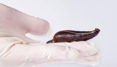 Blood cream to increase a member