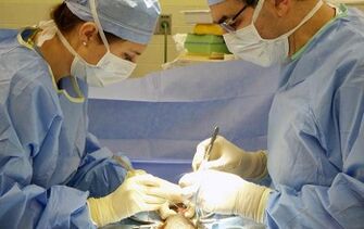 Surgical methods to increase the penis