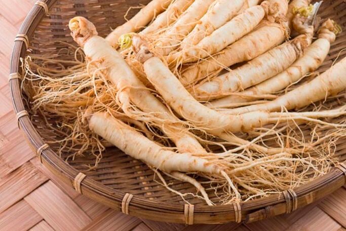 Ginseng root to prepare a tincture that stimulates blood circulation in the tissues of the penis